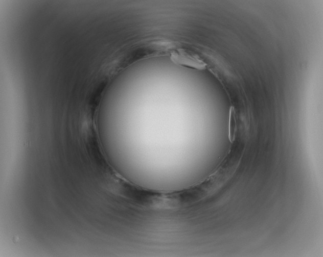 X0000113370320200909151032