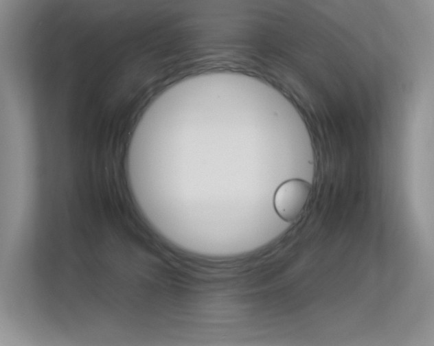 X0000113370324200909151032