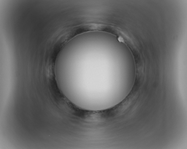 X0000113370325200909151032