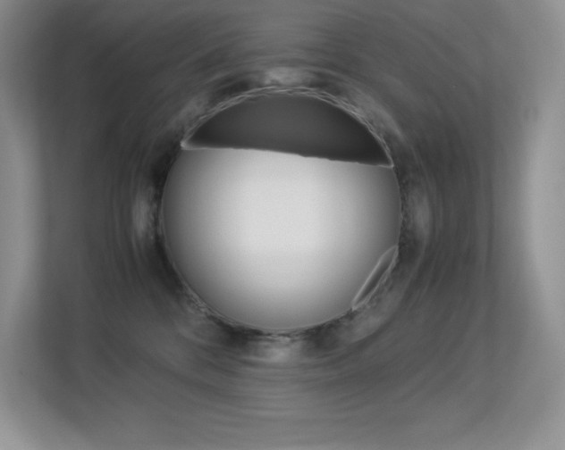 X0000113370328200909151032