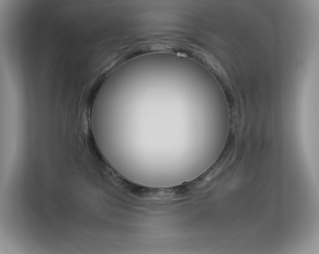 X0000113370329200909151032