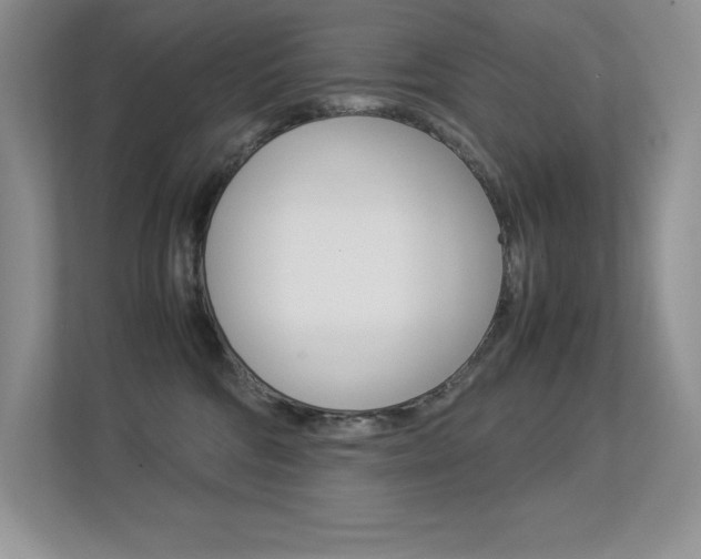 X0000113370330200909151032