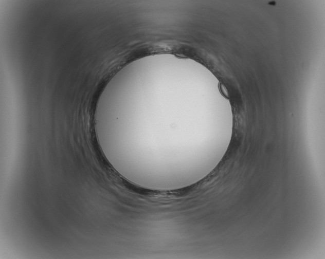 X0000113370331200909151032