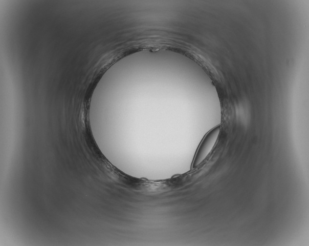 X0000113370333200909151032