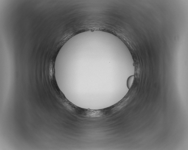 X0000113370334200909151032