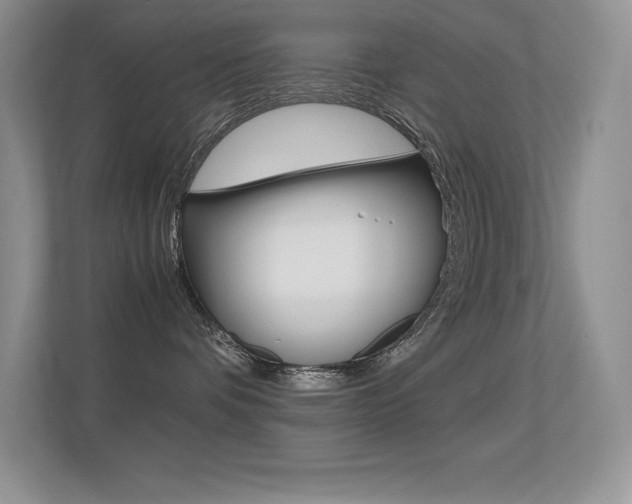 X0000113370336200909151032