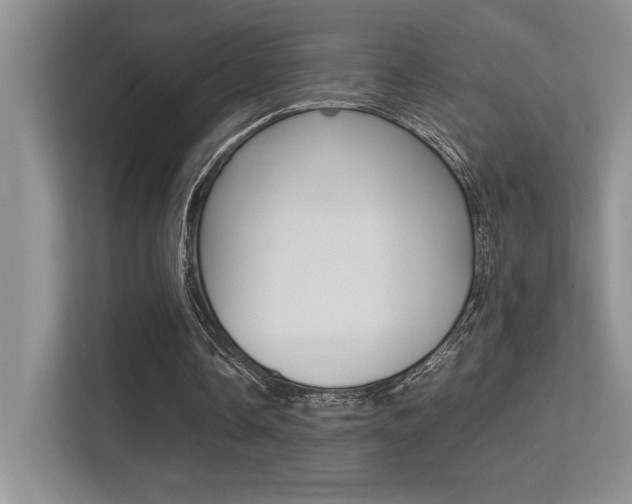 X0000113370338200909151031