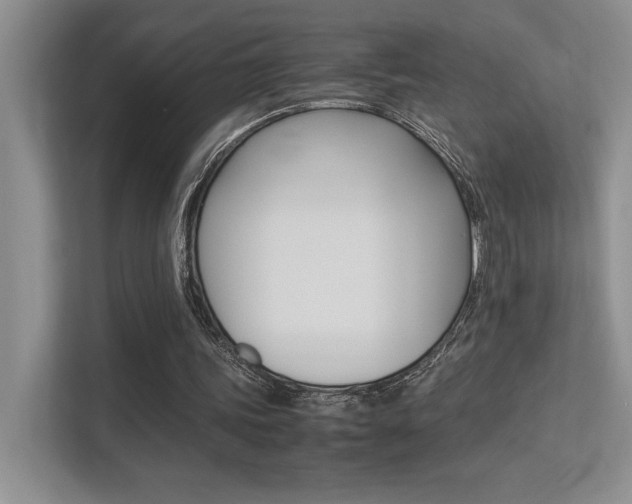 X0000113370339200909151031