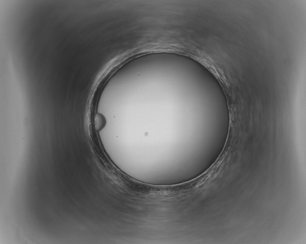 X0000113370340200909151031