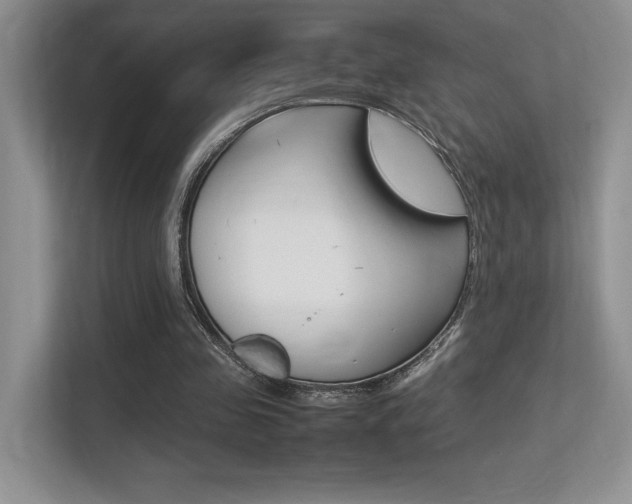 X0000113370341200909151031