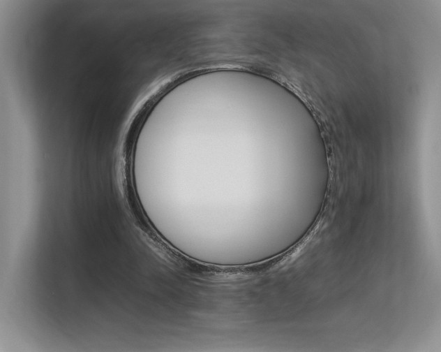 X0000113370342200909151031