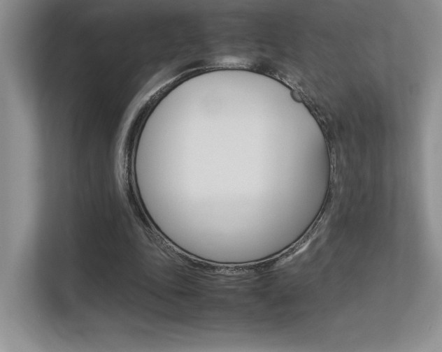 X0000113370343200909151031