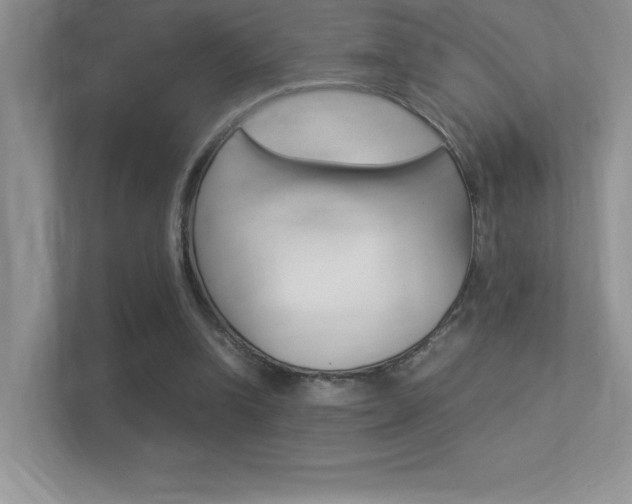 X0000113370346200909151031