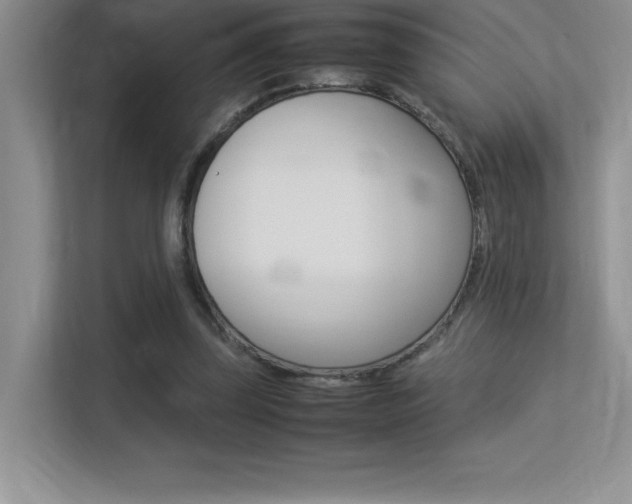 X0000113370347200909151031