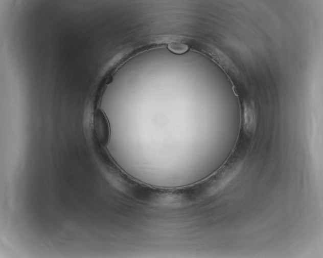 X0000113370348200909151031