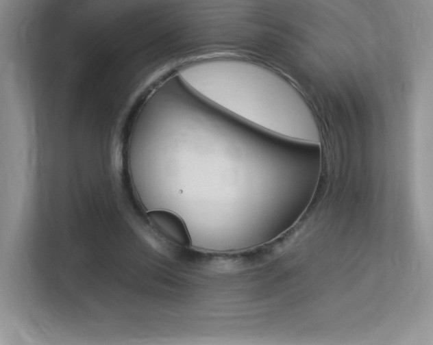 X0000113370350200909151031