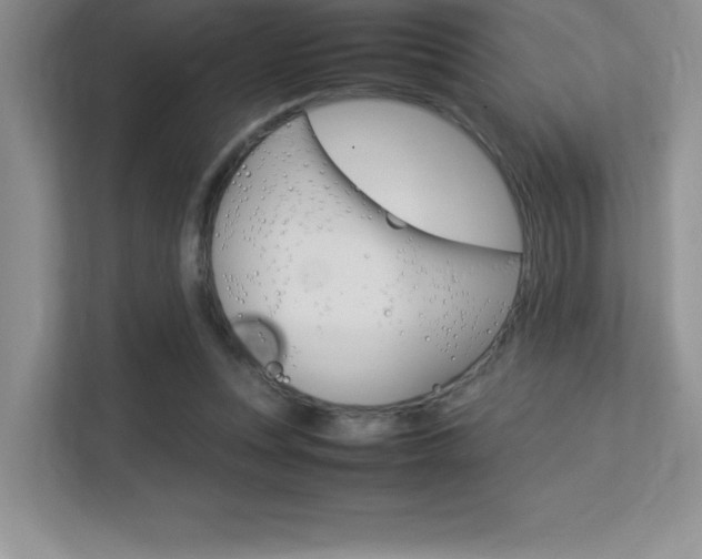 X0000113370351200909151031