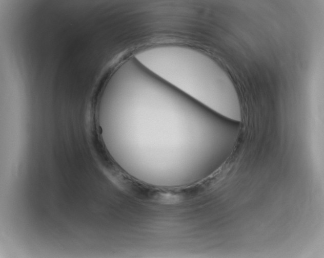 X0000113370352200909151031