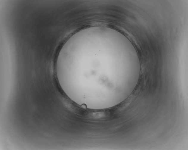 X0000113370353200909151031