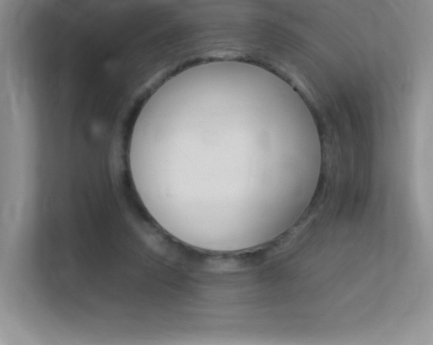 X0000113370354200909151031