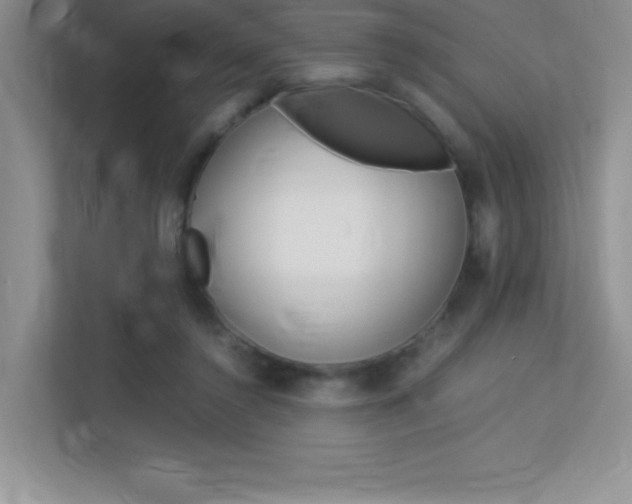 X0000113370356200909151031