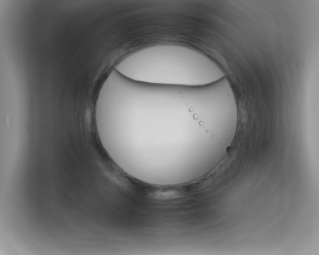 X0000113370357200909151031