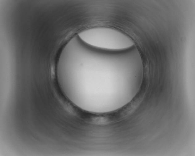 X0000113370358200909151031