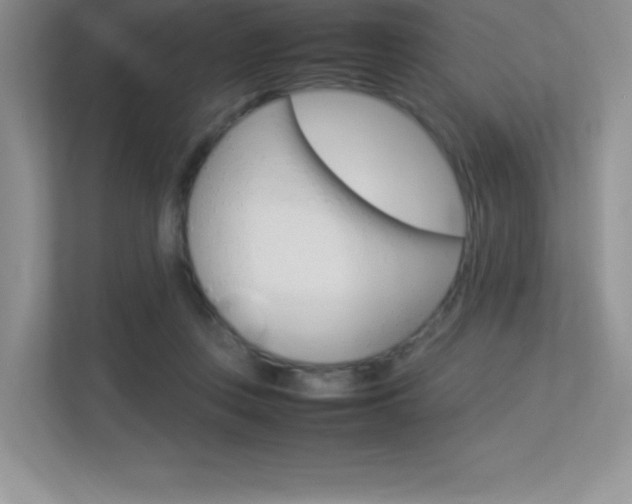 X0000113370359200909151031