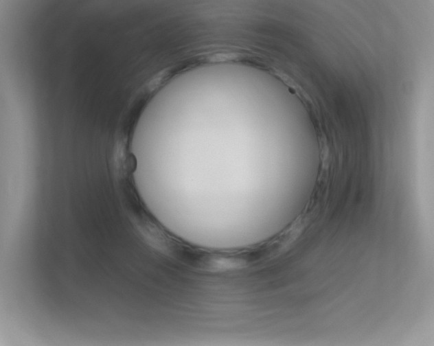 X0000113370360200909151031