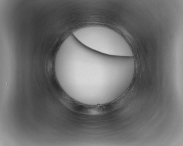 X0000113370365200909151031