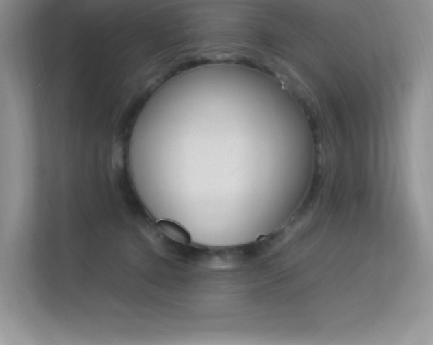 X0000113370368200909151031