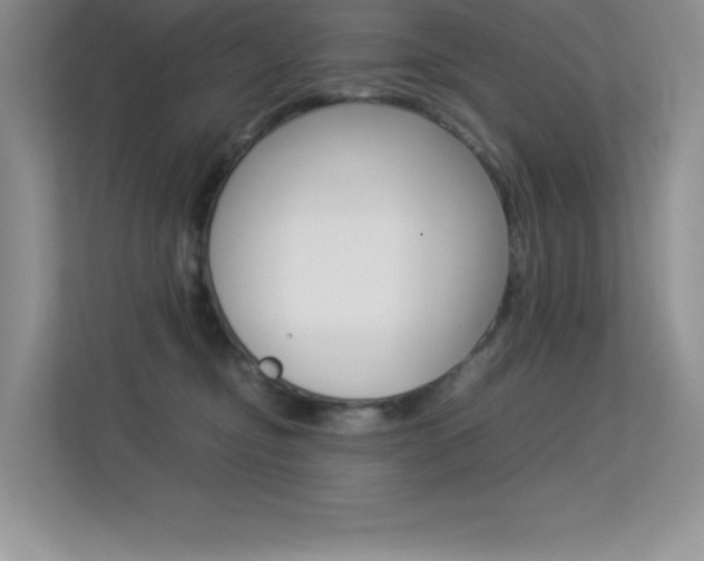 X0000113370374200909151031
