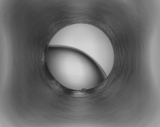 X0000113370380200909151032