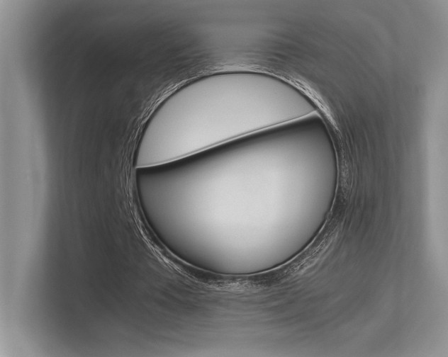 X0000113370385200909151031