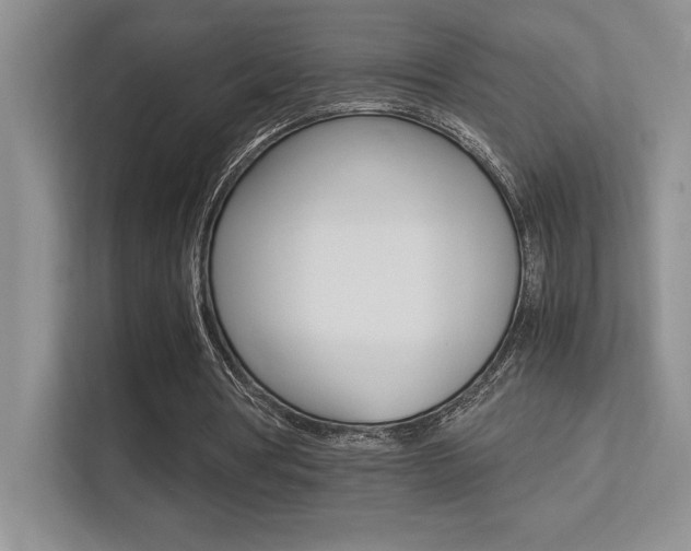 X0000113370386200909151031