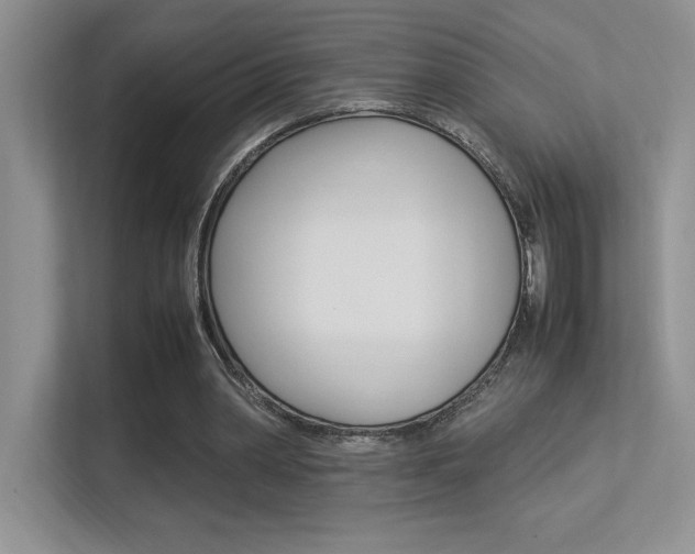 X0000113370390200909151031