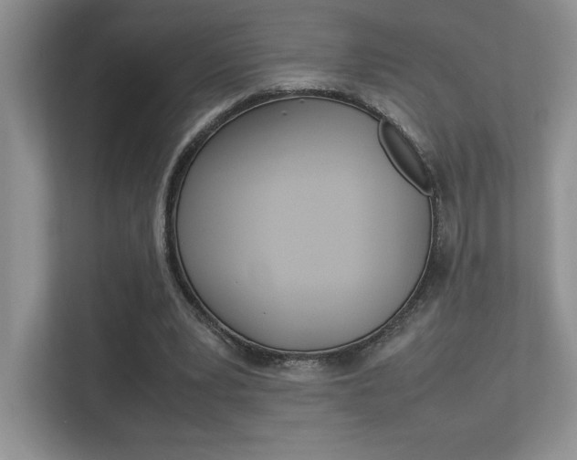 X0000113370391200909151031