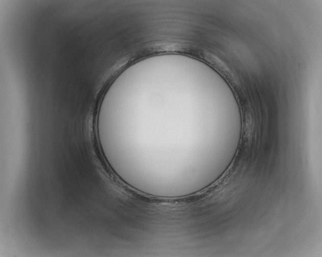 X0000113370394200909151031