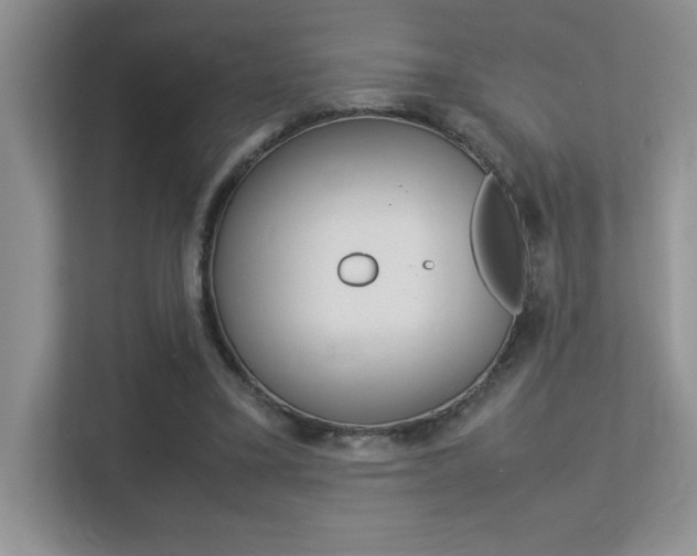 X0000113370395200909151031