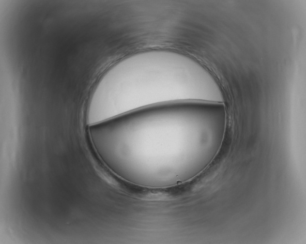 X0000113370397200909151031