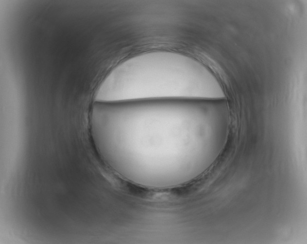 X0000113370401200909151031