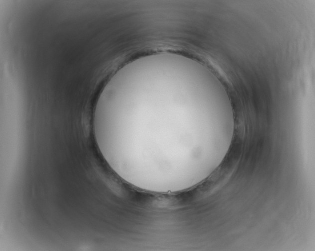 X0000113370402200909151031