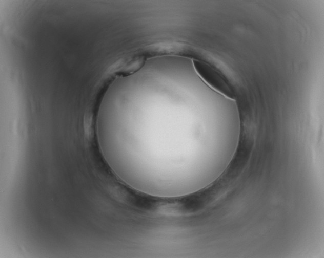 X0000113370403200909151031