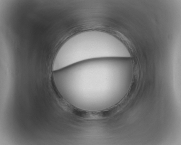 X0000113370405200909151031