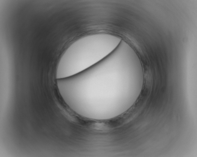 X0000113370406200909151031