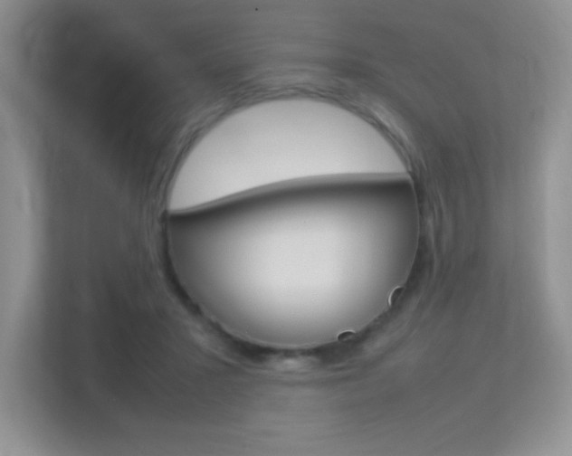X0000113370407200909151031
