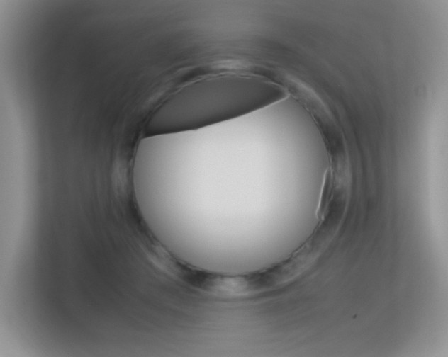 X0000113370409200909151031