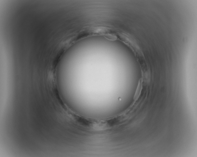 X0000113370415200909151031