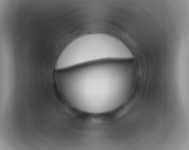 X0000113370416200909151031