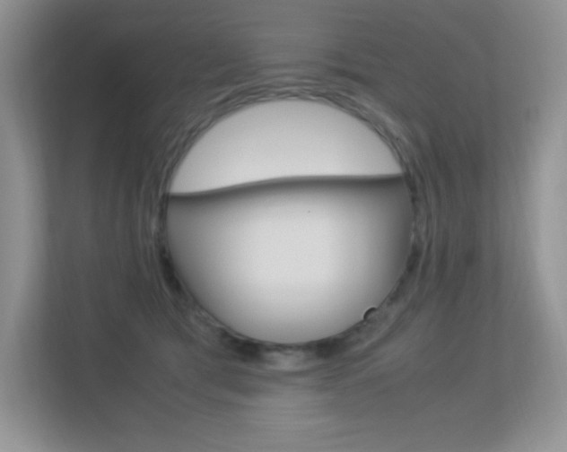 X0000113370417200909151031
